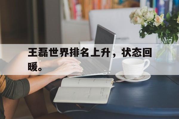浩瀚体育平台入口-王磊世界排名上升，状态回暖。